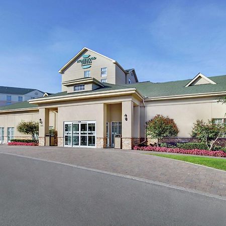 Homewood Suites By Hilton Burlington Extérieur photo
